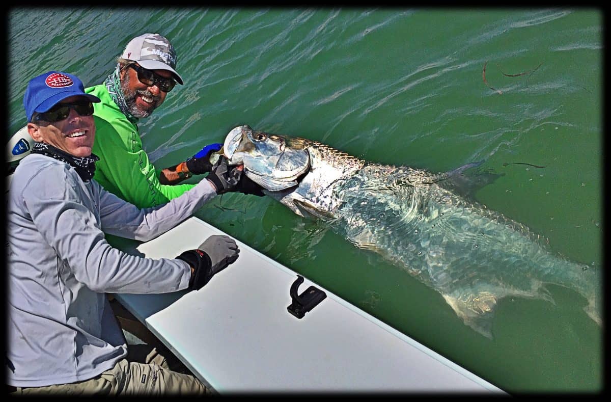 Fish for Tarpon in Tampa with Captain C A Richardson